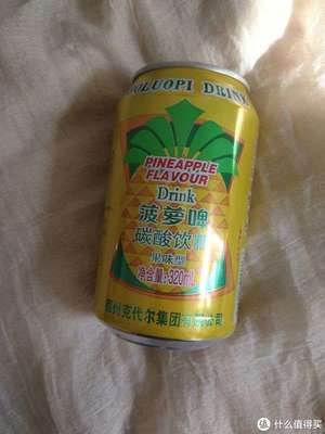 美味嘉年華 篇十五 開車聚會也能暢飲，健康無負擔的菠蘿小飲料