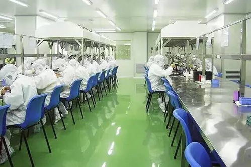 科學搭配，自然養顏 保健食品助力女性青春常駐