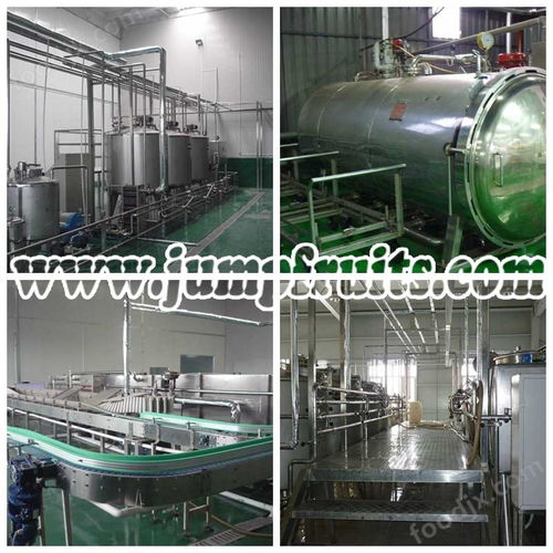 直銷特色優(yōu)質果酒設備與生產線價格解析及水處理設備研發(fā)